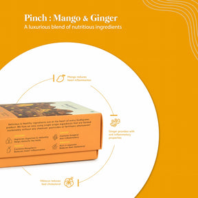 Pinch - Mango & Ginger